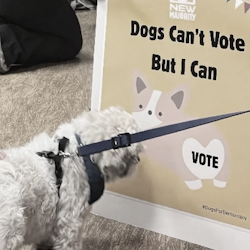 Dogs for Democracy